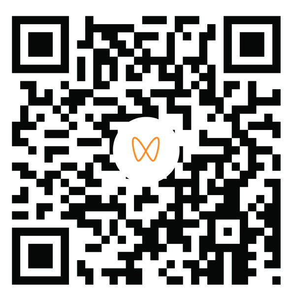 02-6四海归鹭.jpg