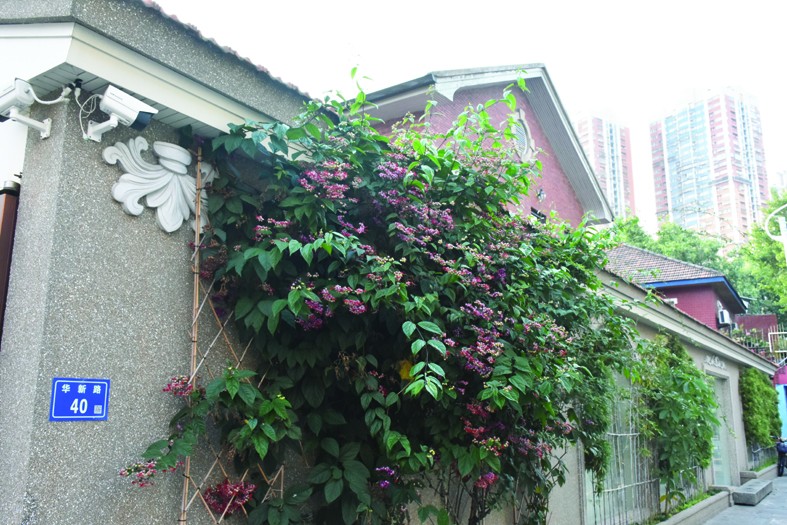 04-26.JPG